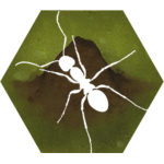 finally-ants.webp