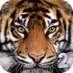 ultimate-tiger-simulator-2.png